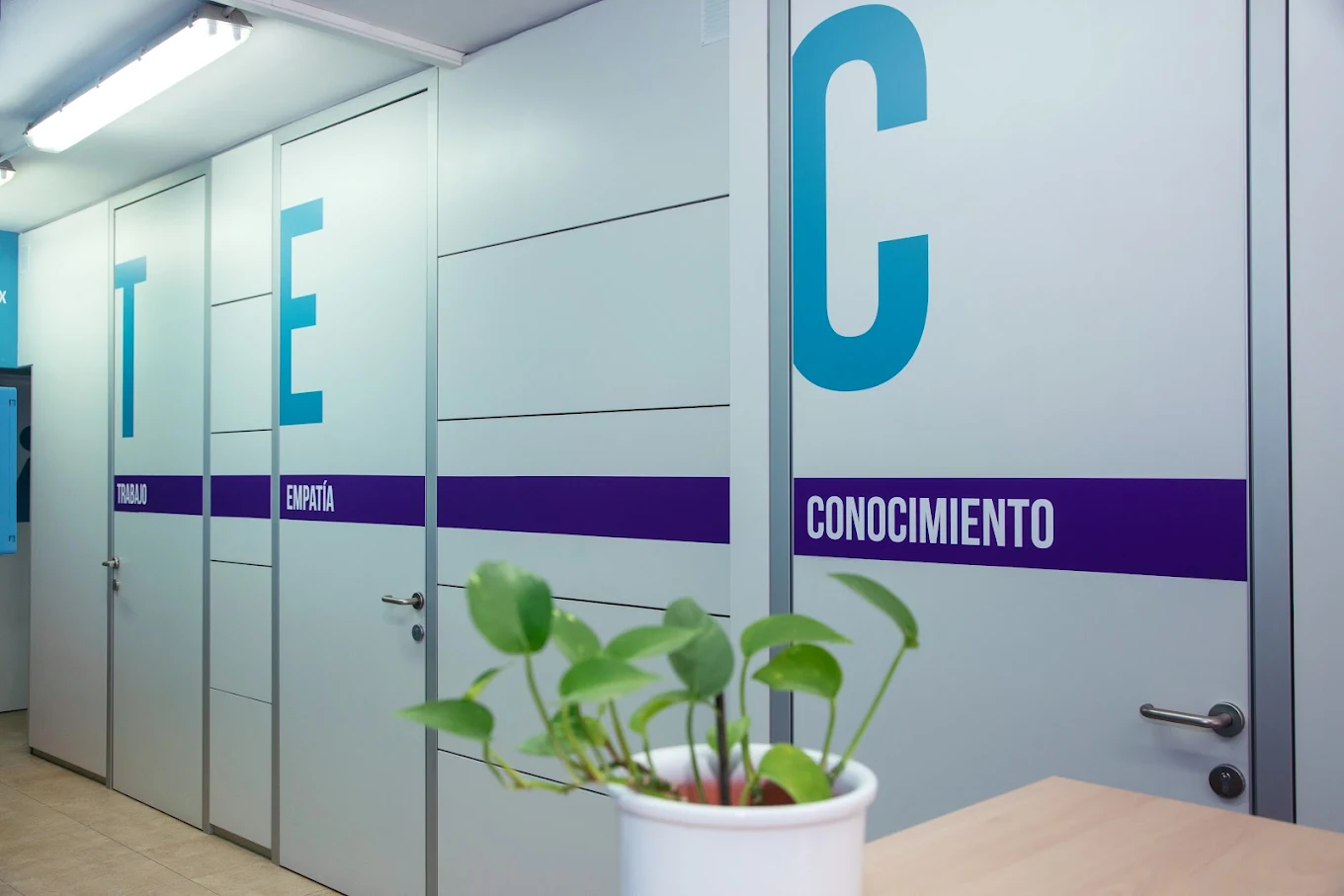 instalaciones academia quo vadis en premià de mar